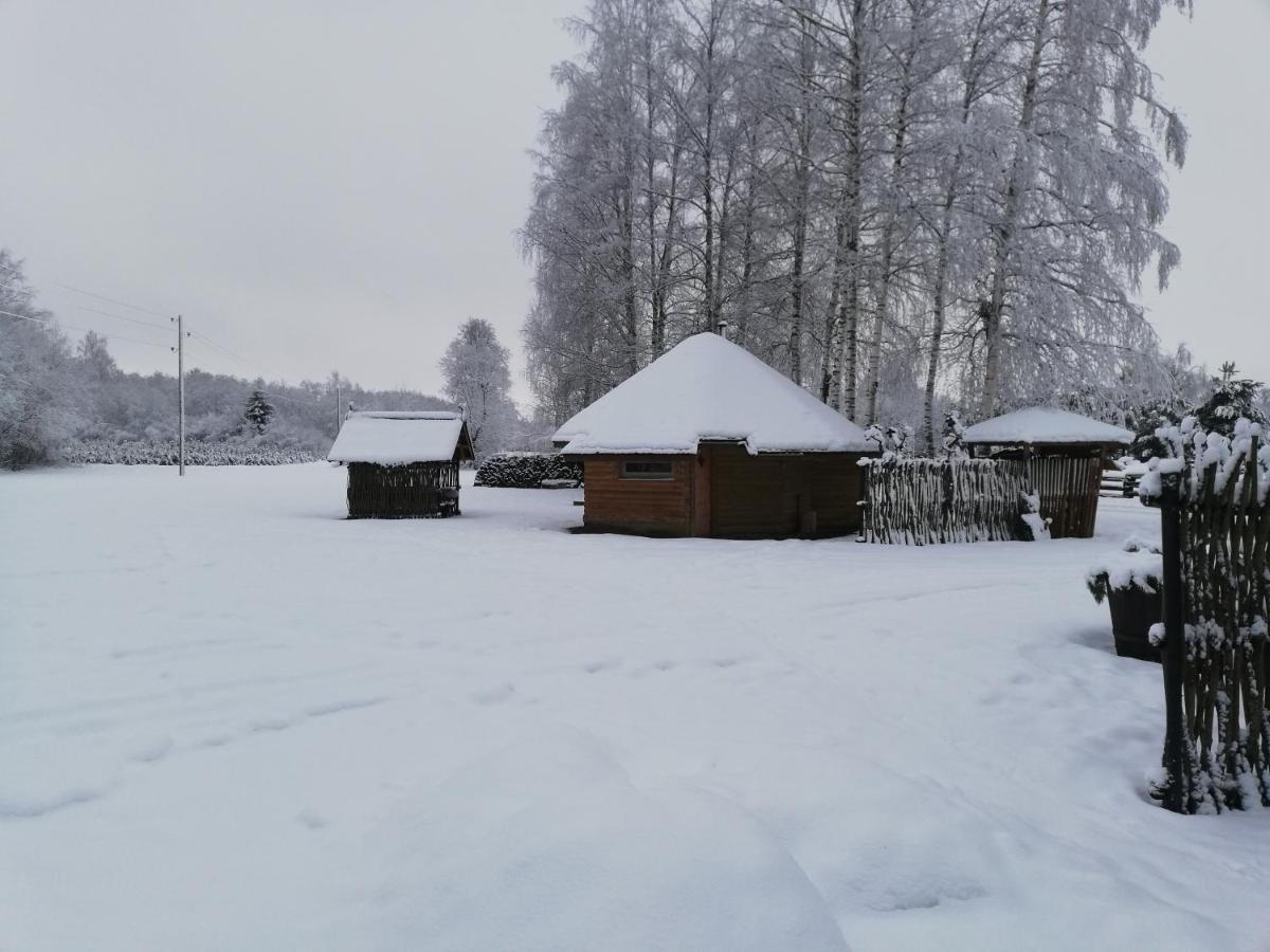 Вілла Perkonu Namins Балві Екстер'єр фото