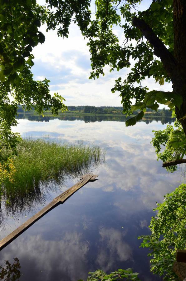 Вілла Perkonu Namins Балві Екстер'єр фото