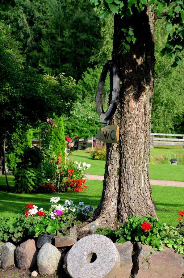 Вілла Perkonu Namins Балві Екстер'єр фото